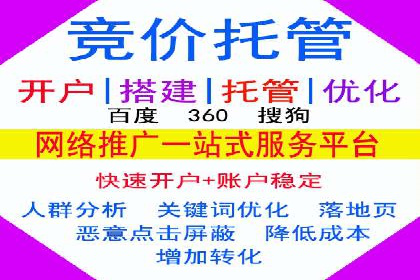 专业SEM托管助力企业快速成长案例分析
